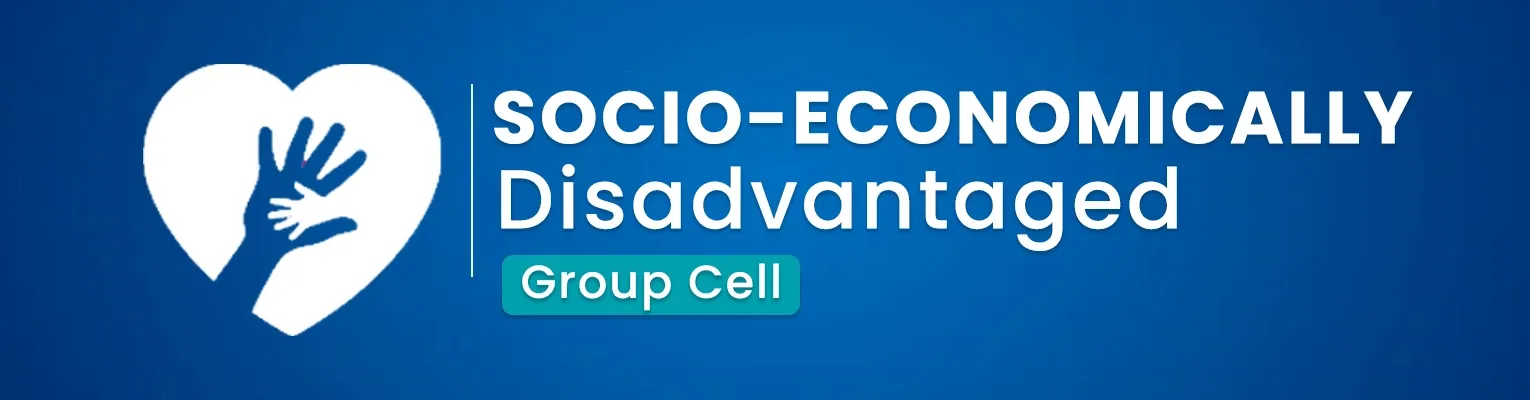 SEDG Overview